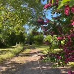 Apartment Designholzhaus mit Panoramablick in der Märkischen Schweiz *