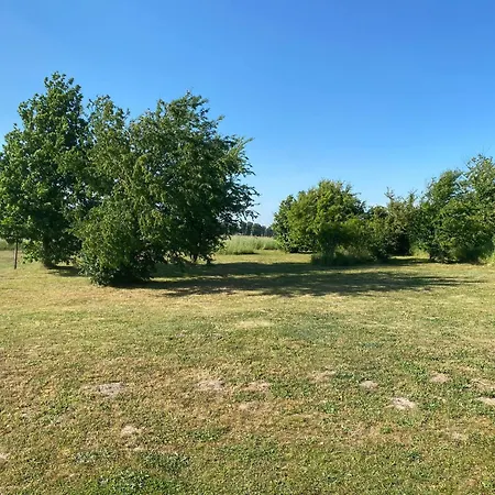Apartment Designholzhaus mit Panoramablick in der Märkischen Schweiz
